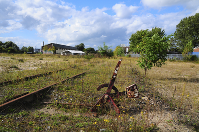 900375 Gezicht op het voormalige werkplaatsterrein van de Nederlandse Spoorwegen aan de 2e Daalsedijk te Utrecht, met ...